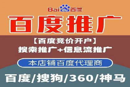 百度推广费用投入与用户转化路径的优化案例
